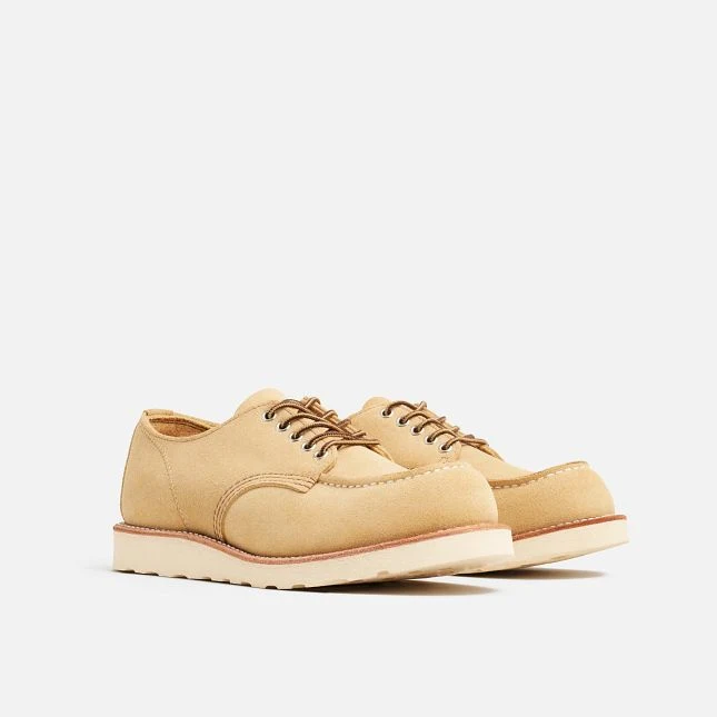 Immagine prodotto 3